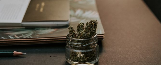 cannabis