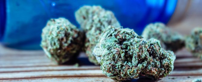 marijuana