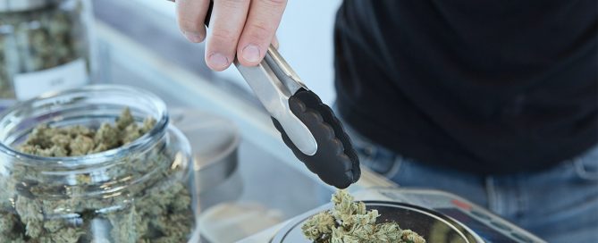 marijuana